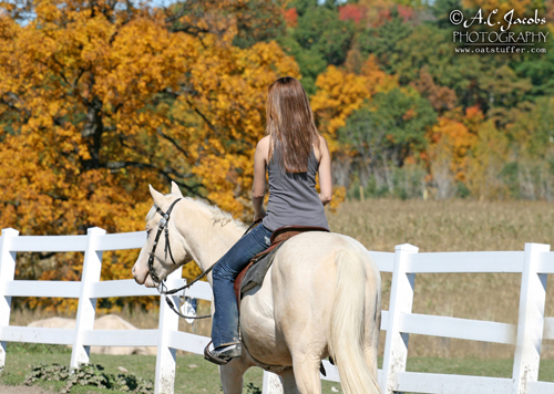 Kasper ridden as a 3 year old